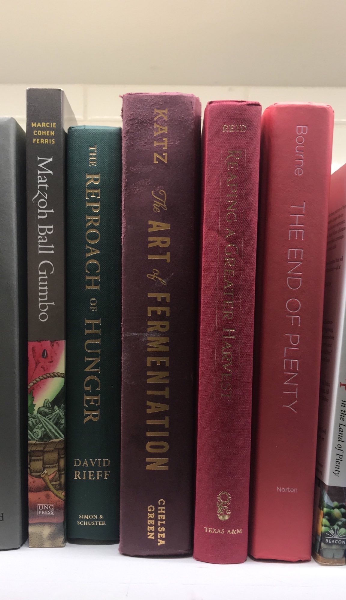 Closeup of the bookshelf, containing titles: 'Matzoh Ball Gumbo', 'Reproach of Hunger', 'The Art of Fermentation', 'Reaping A Creater Harvest', and 'The End of Plenty'